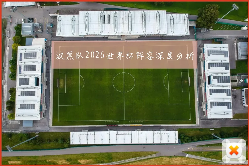 波黑队2026世界杯阵容深度分析