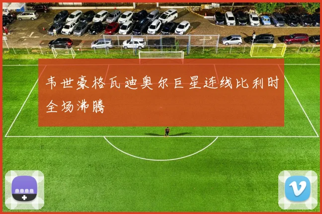 韦世豪格瓦迪奥尔巨星连线比利时全场沸腾