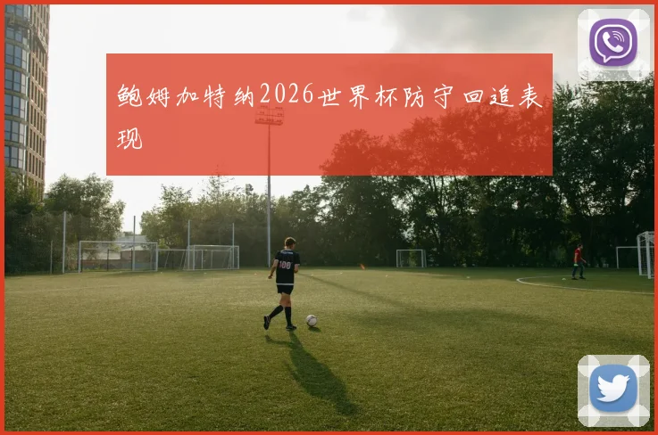 鲍姆加特纳2026世界杯防守回追表现