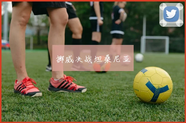 挪威决战坦桑尼亚