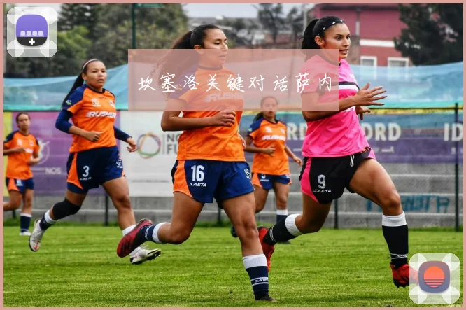 坎塞洛关键对话萨内