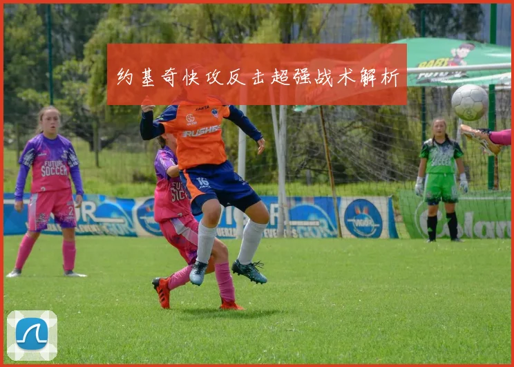 约基奇快攻反击超强战术解析