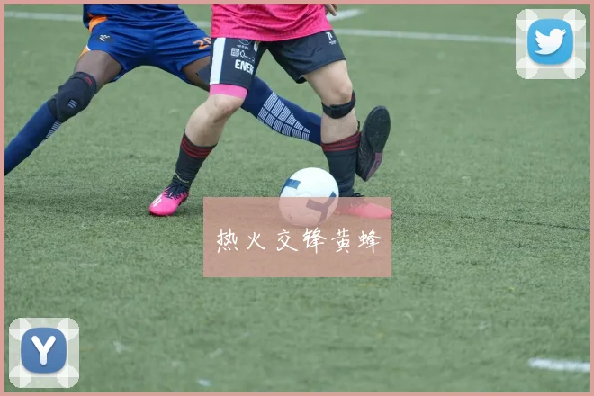 热火交锋黄蜂