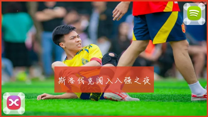 斯洛伐克闯入八强之夜