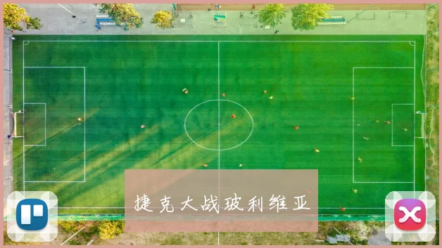 捷克大战玻利维亚