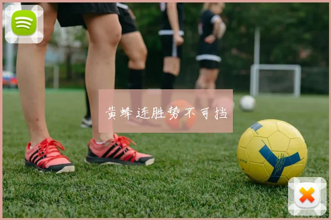 黄蜂连胜势不可挡