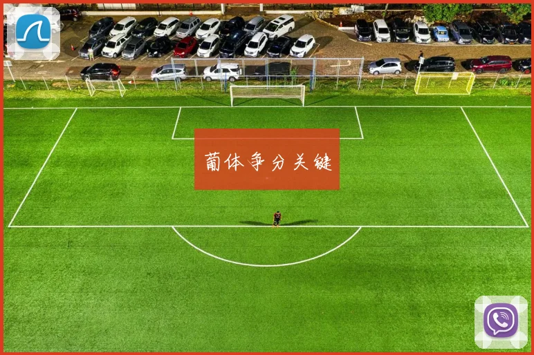 葡体争分关键