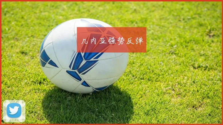 几内亚强势反弹