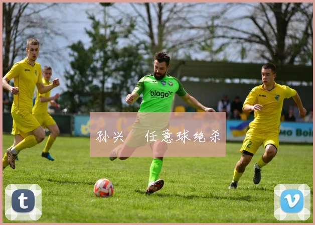 孙兴慜任意球绝杀