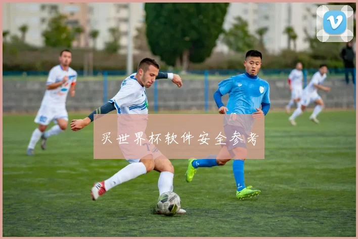 买世界杯软件安全参考