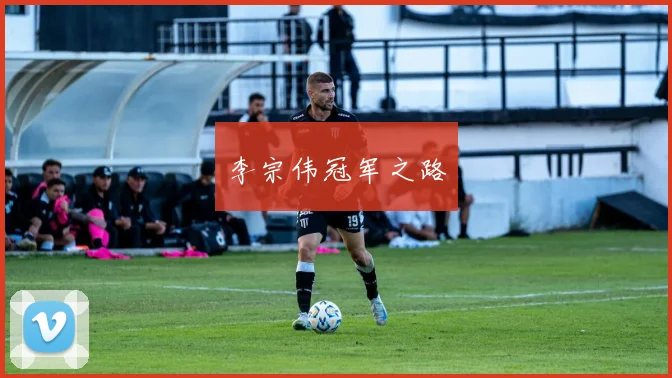 李宗伟冠军之路