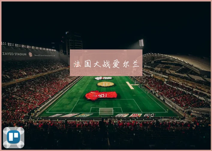 法国大战爱尔兰