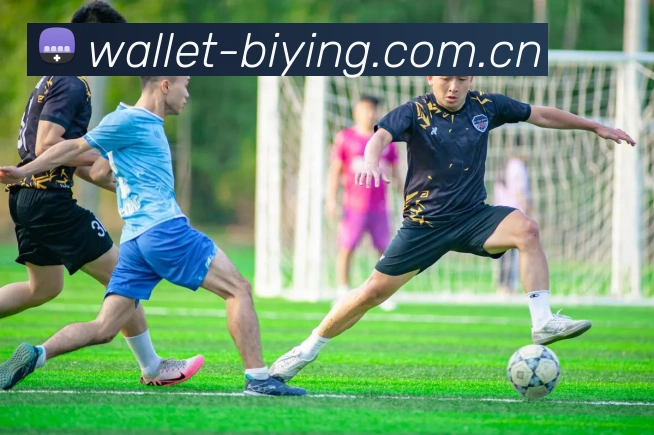 关于必赢体育平台网页版入口