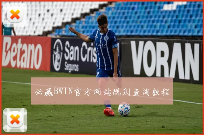 必赢BWIN官方网站规则查询教程